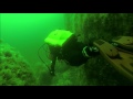Diving the Falls of Lora, Loch Etive, Oban, Falls of Lora , Großbritannien, Schottland