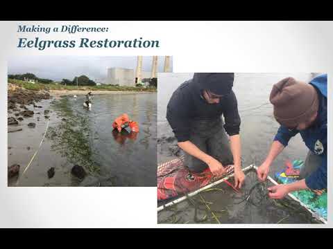 Morro Bay National Estuary Program