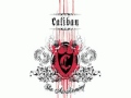 Caliban- Rise and Fight 