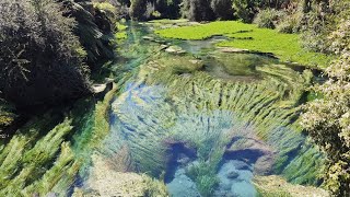 Walk to the Enchanted River (Blue Spring) 60FPS