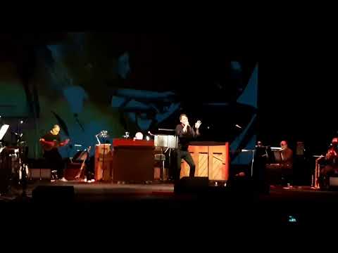 Death Songbook - Paraorchestra + Brett Anderson - Wonderful Life