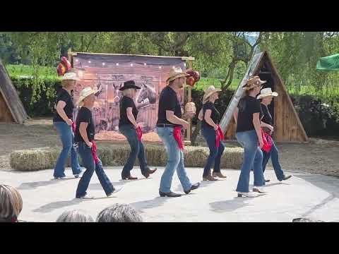 COUNTRY PLESNA SKUPINA PODKVICE: VOŠČILO 2026