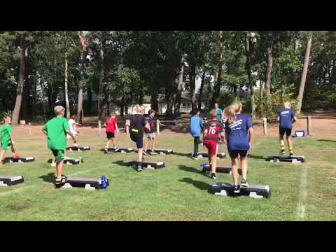 U12 Fußball Lions SV Hämelhausen