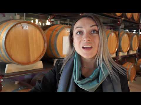 Jelena Stankovic, Tourismus Belgrad