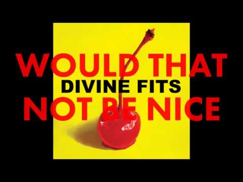 Divine Fits - Would That Not Be Nice (2012)
