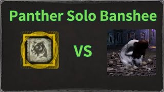 Panther Druid Solo Banshee | Dark and Darker