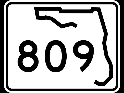 The Snow Plow Show Episode 809 – Dandelions Are Good For Your Liver