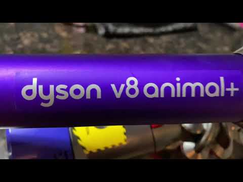 Dyson V8 Animal Vacuum Review After 1 Day of Not Cleaning