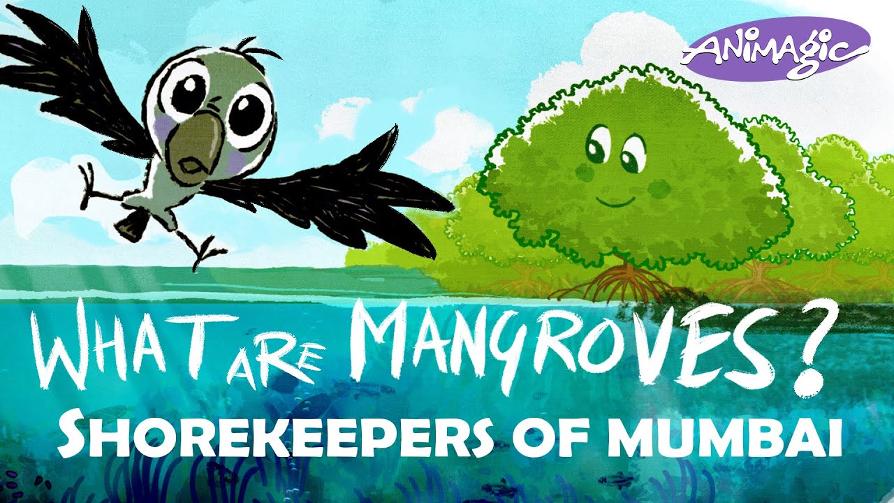 Detailed breakdown of mangrove blue carbon sequestration and climate impact