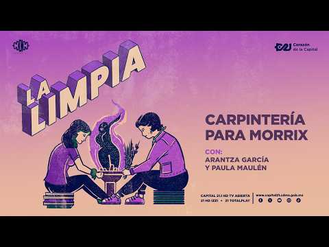La carpintería y otros oficios masculinizados | La Limpia
