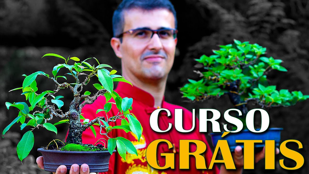 NÃO FAÇA BONSAI SEM ESSE VÍDEO - Curso Completo Introdutório Grátis de Bonsai para Iniciantes.