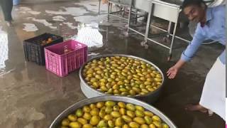 Covid 19 - Jiva VT preparing 500 kgs pickle with tomato and 500kgs Mangoes to distribute for the needy