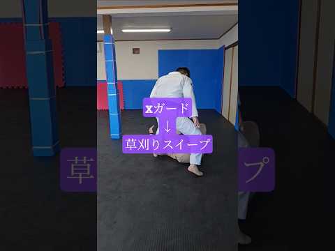 #Xガード #草狩りスイープ #ブラジリアン柔術 #bjj #格闘技 #北海道 #オホーツク #北見市