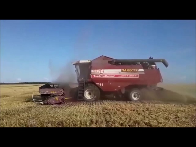 Урожай-2019. Уборка и смотр техники. 25.07.2019 г. Монтаж видео Л. Никифоровой