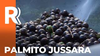 Miniatura do vídeo