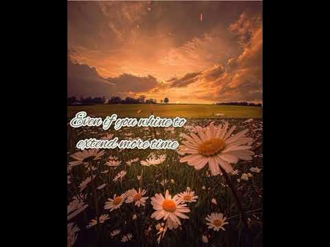 Adoye wove ani | Eng sub |Ashito Awomi