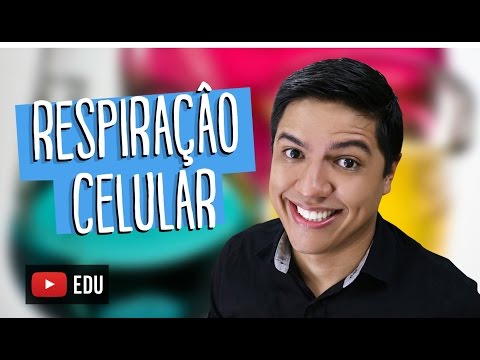 CELLULAR RESPIRATION - BIOCHEMISTRY - SUMMARY - Prof. Kennedy Ramos