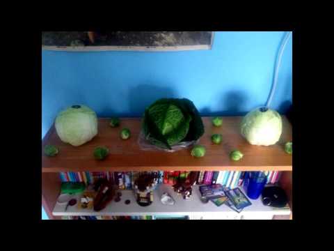 James Acaster's Cabadging Finale - Classic Scrapes