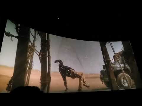 Maari 2 mass intro... Frist day frist show theatre response