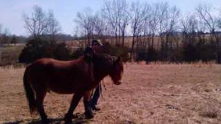 Chris Cagle - I&#39;d Find You - Day with the Horses &#39;10.wmv