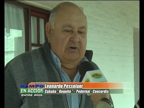 Leonardo Pessolani - Cabaña Roquito Angus Entrerriano 2017