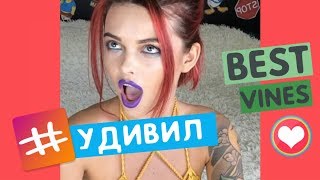 ЛУЧШИЕ ВАЙНЫ 2017 / НОВЫЕ РУССКИЕ И КАЗАХСКИЕ ВАЙНЫ | BEST VINES #86