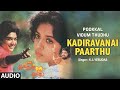 Kadiravanai Paarthu Audio Song Tamil Movie Pookkal Vidum Thudhu Raju Lakshmi Gowri T Rajendar