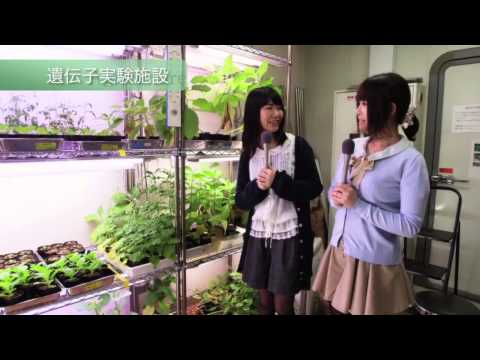 東京農工大学紹介動画ａｌｌ
