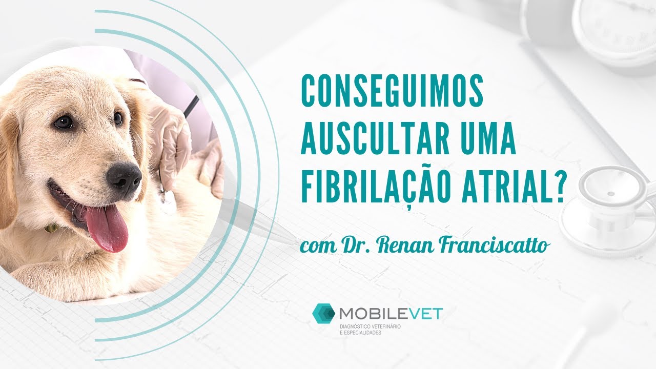 Conseguimos auscultar uma Fibrilação Atrial ?