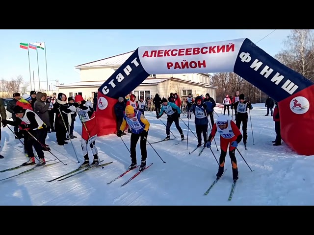 Видеорепортаж: "Лыжня России 2020" в Алексеевском