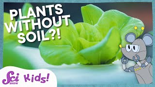 Thumbnail for video: Growing Plants Without Soil! | Squeaks Grows a Garden! | SciShow Kids