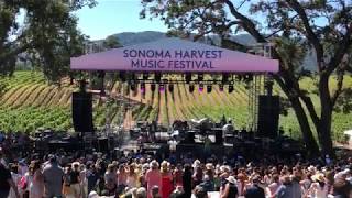 Misterwives - &quot;Only Human&quot; - Live in Sonoma