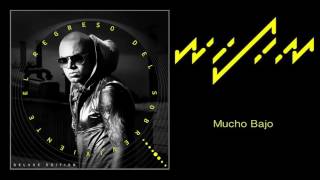 Wisin   Mucho Bajo Audio
