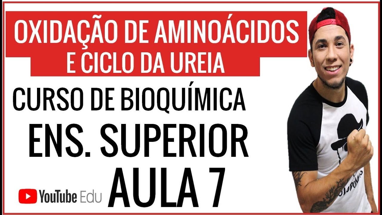OXIDAÇÃO DE AMINOÁCIDOS E CICLO DA UREIA- CURSO DE BIOQUÍMICA PARA ENSINO SUPERIOR - Prof. Patrick