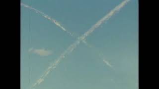 The Hidden Cameras - Golden Streams