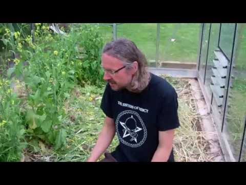 Greenhouse Soil Preparation