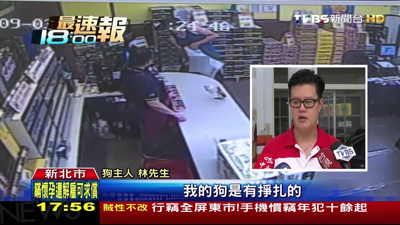 偷抱？撿到？　店門口抱走貴賓狗塞塑膠袋