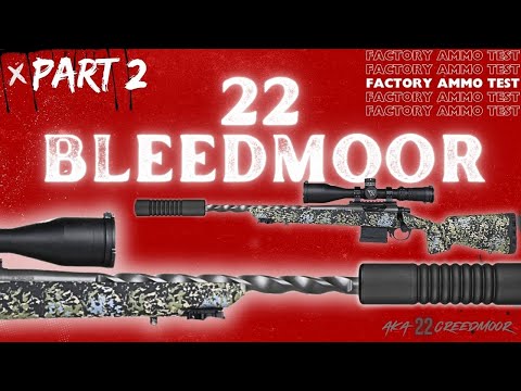 PART 2 | 22 Bleedmoor | FACTORY AMMO \u0026 RIFLE TEST