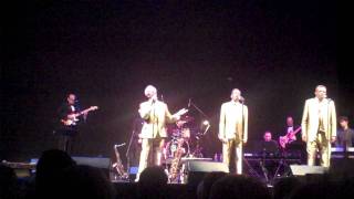 Cadillacs - Window Lady (live)