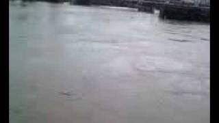 skagit river flood 09
