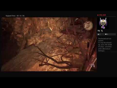 Full agony walkthrough