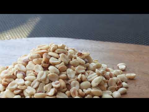 Wild Bird Center's Shelled Peanuts