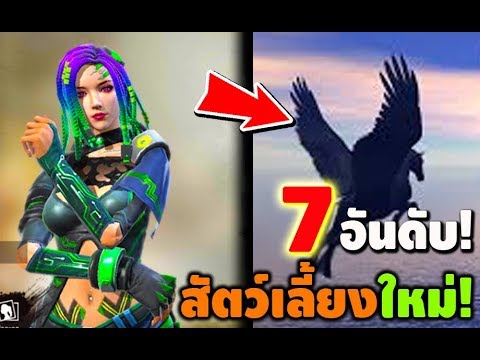ชื่อฟีฟาย