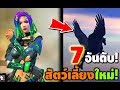 ชื่อฟีฟาย