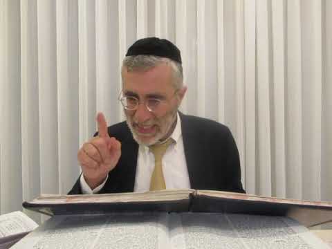 הרב יהושע ביבי - יום הכיפורים - תשפ"ו - שיעור מס' 014 - עליות לו''ח דמנחה ונעילה בנו''כ ובהלכה למעשה