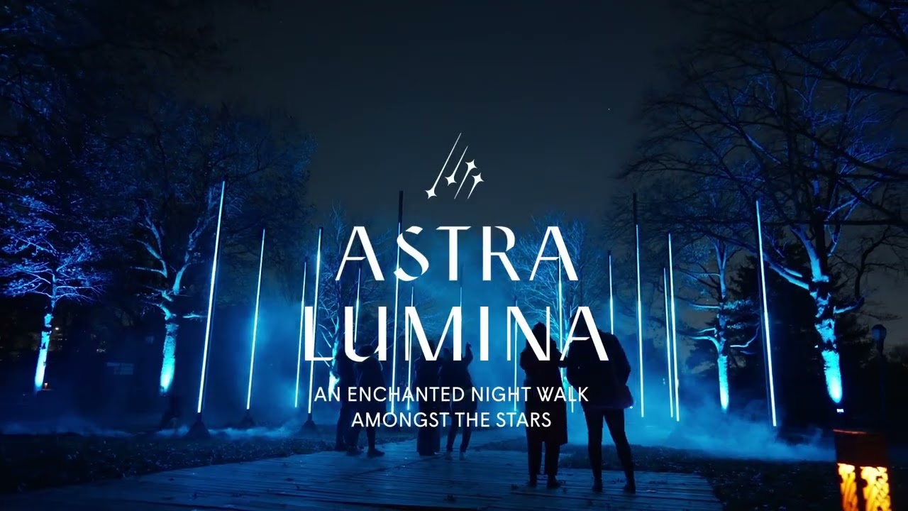 Discover the enchanting highlights of Astra Lumina Night Walk.