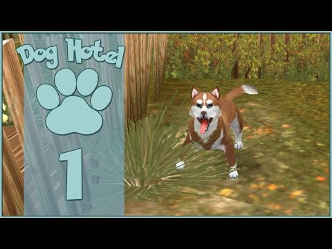 Dog Hotel || Our First Four-Footed Guest!! - Episode #1 - YouTube