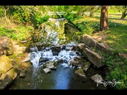 Cardiff Day in the Life