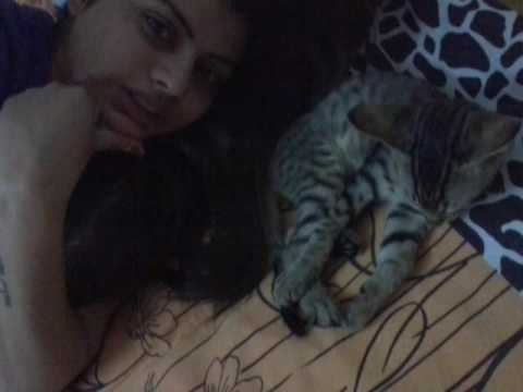 When cat feelin sleepy and don't want to giv gdnt kiss