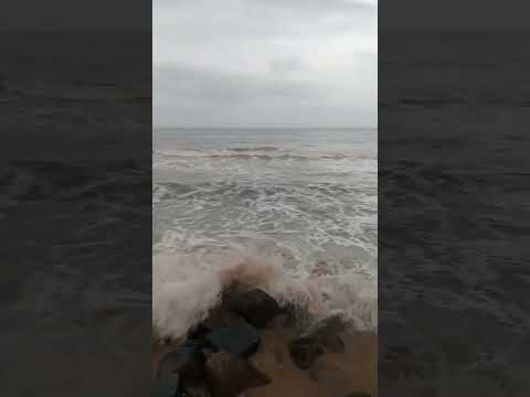 #saiyaara #kerala #cheraibeach #lovestatus #kingdom #bhagyashree  #song